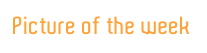 Picture of the week